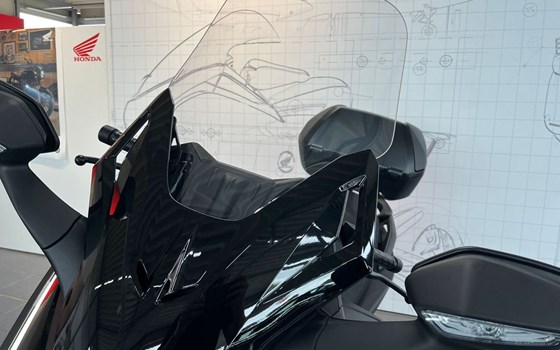 Gebrauchtmotorrad Honda Forza 125 - Bild 12