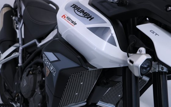 Gebrauchtmotorrad Triumph Tiger 900 GT - Bild 9