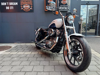 Foto des Bikes