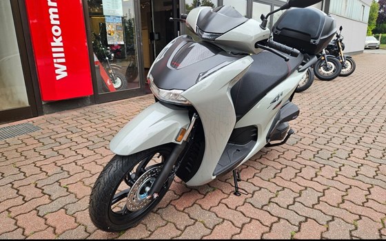 Gebrauchtmotorrad Honda SH350i - Bild 2