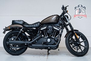Angebot Harley-Davidson Sportster XL 883 N Iron