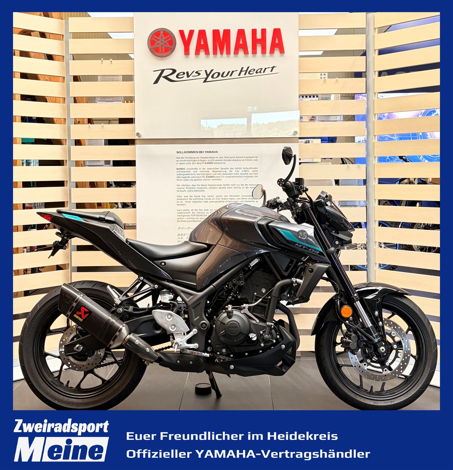 Yamaha MT-03