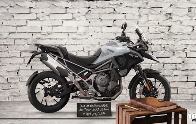 Triumph Tiger 1200 GT PRO