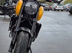 Angebot Triumph Trident 660