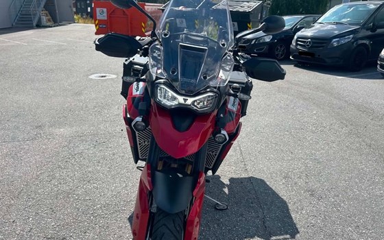 Gebrauchtmotorrad Triumph Tiger 900 GT Pro - Bild 1