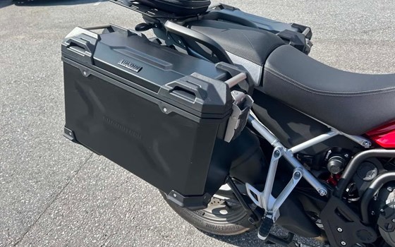 Gebrauchtmotorrad Triumph Tiger 900 GT Pro - Bild 4