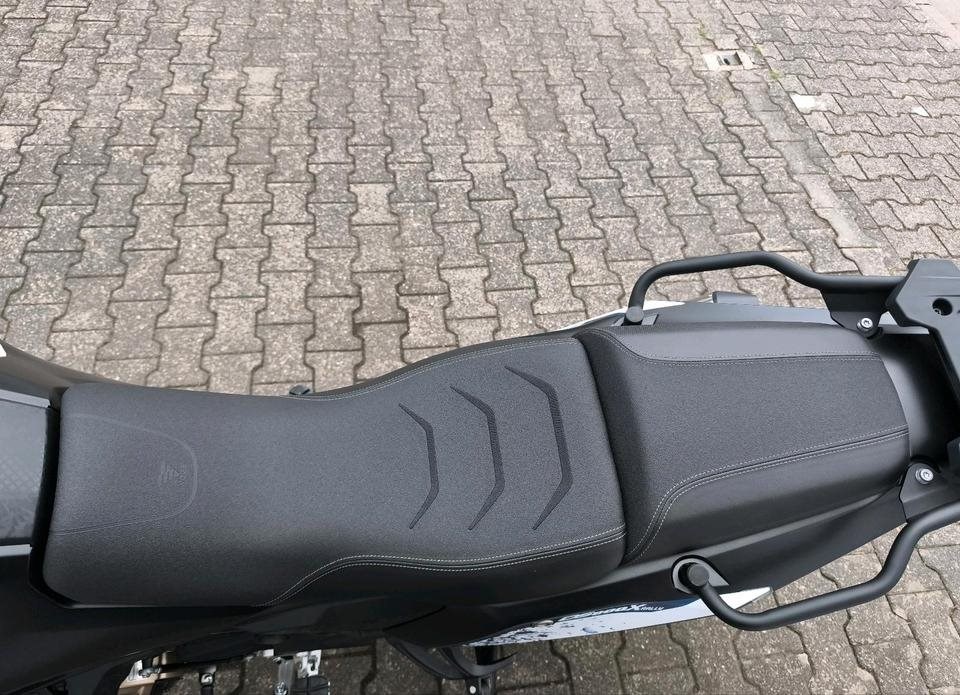 Angebot Voge DS800X Rally