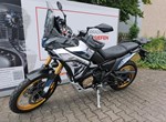 Angebot Voge DS800X Rally