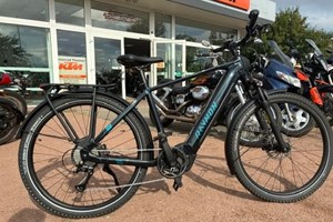 Angebot Raymon Tourray