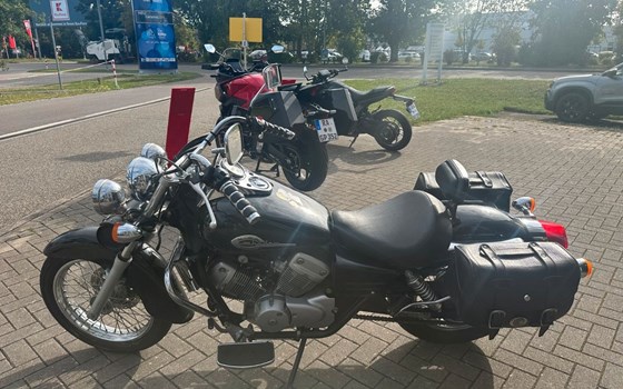 Gebrauchtmotorrad Honda VT 125 Shadow - Bild 12
