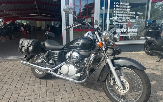 Gebrauchtmotorrad Honda VT 125 Shadow - Bild 2