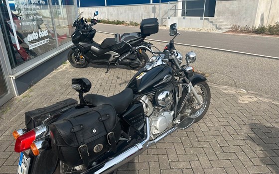 Gebrauchtmotorrad Honda VT 125 Shadow - Bild 7