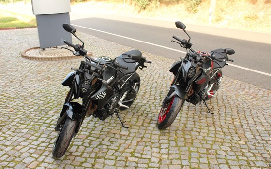 Neufahrzeug Suzuki GSX-8S - Bild 3