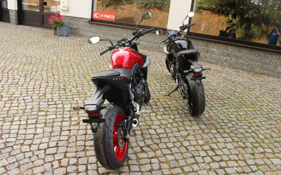 Neufahrzeug Suzuki GSX-8S - Bild 5