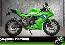 Neumotorrad Kawasaki Ninja 125
