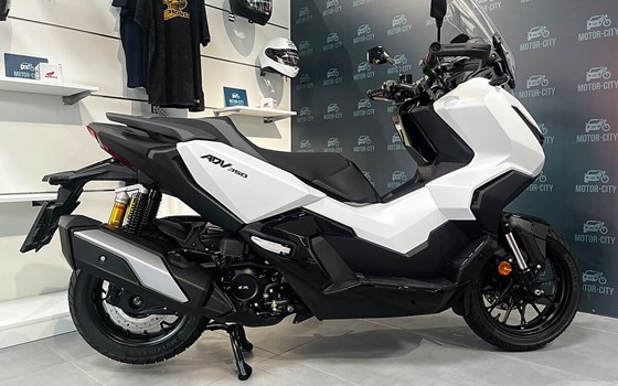 Neufahrzeug Honda ADV350 - Bild 6