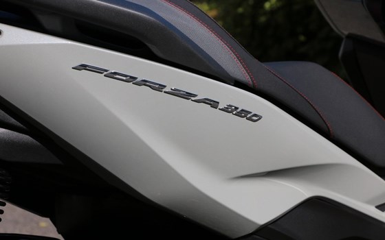 Gebrauchtmotorrad Honda Forza 350 - Bild 5