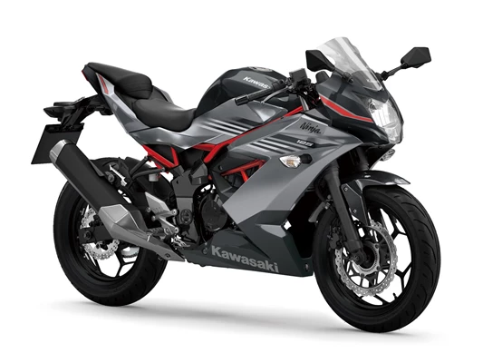 Kawasaki Ninja 125 (Lime Green (GN1)) - Bild 5