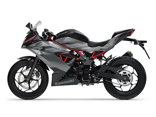 Kawasaki Ninja 125 (Lime Green (GN1)) - Bild 6