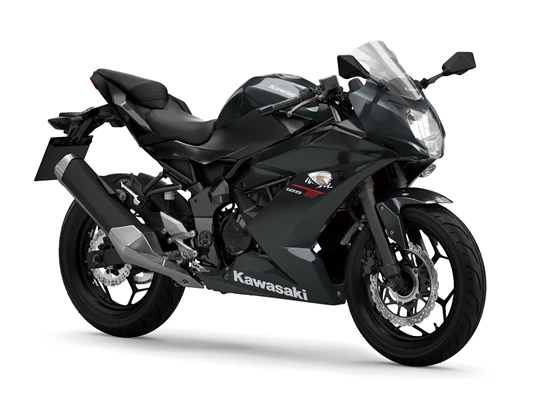 Kawasaki Ninja 125 (Lime Green (GN1)) - Bild 8