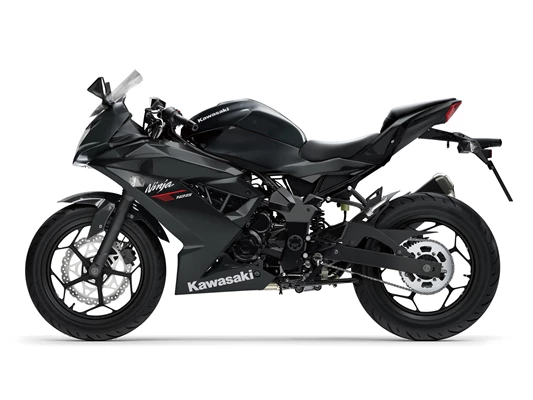 Kawasaki Ninja 125 (Lime Green (GN1)) - Bild 9