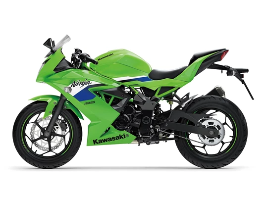 Kawasaki Ninja 125 (Lime Green (GN1)) - Bild 10