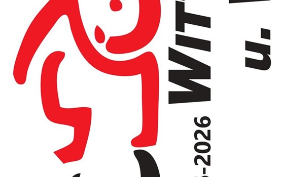 Gebrauchtmotorrad Ducati Panigale V4 S - Bild 19