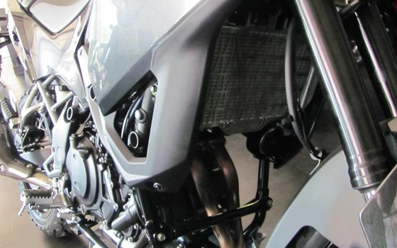 Neufahrzeug Kawasaki KLE500 - Bild 4