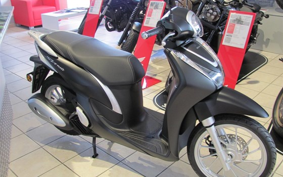 Neufahrzeug Honda SH Mode 125 - Bild 5