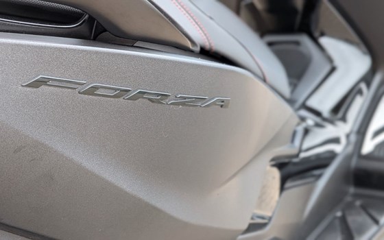 Gebrauchtmotorrad Honda Forza 125 - Bild 4