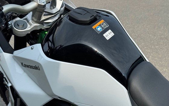 Gebrauchtmotorrad Kawasaki KLE500 SE - Bild 8