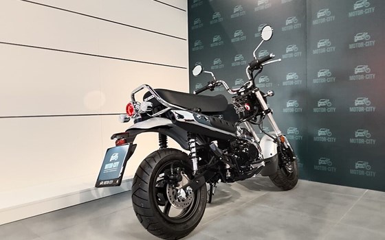 Neufahrzeug Honda Dax 125 - Bild 4