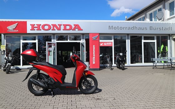 Gebrauchtmotorrad Honda SH125i - Bild 1