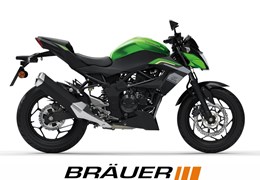 Neumotorrad Kawasaki Z125