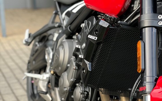 Neufahrzeug Triumph Trident 660 - Bild 8