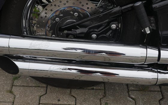 Gebrauchtmotorrad Yamaha XVS 1100 Drag Star - Bild 17