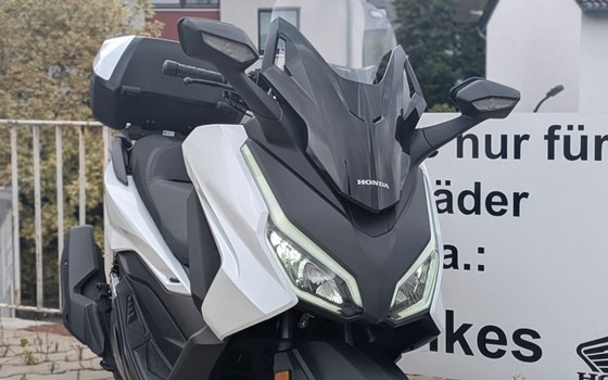 Gebrauchtmotorrad Honda Forza 125 - Bild 2