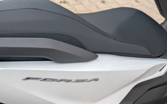 Gebrauchtmotorrad Honda Forza 125 - Bild 3