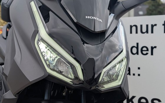 Gebrauchtmotorrad Honda Forza 125 - Bild 2