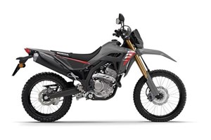 Angebot Honda CRF300L