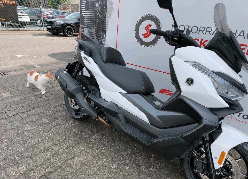 Angebot Voge SR4 350 LUXURY