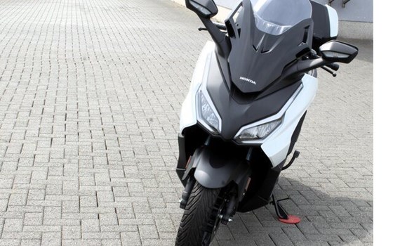 Gebrauchtmotorrad Honda Forza 125 - Bild 3