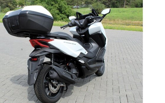 Gebrauchtmotorrad Honda Forza 125 - Bild 5