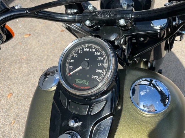 Harley-Davidson Softail Slim S (grün) - Bild 15