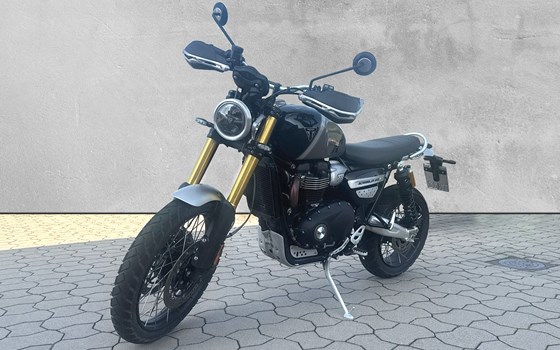 Gebrauchtmotorrad Triumph Scrambler 1200 XE - Bild 1
