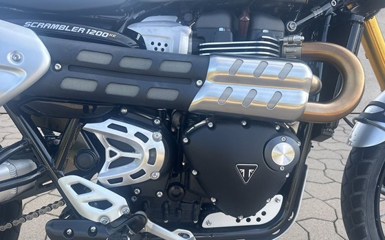 Gebrauchtmotorrad Triumph Scrambler 1200 XE - Bild 5