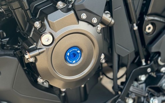 Neufahrzeug Suzuki V-Strom 800DE - Bild 11