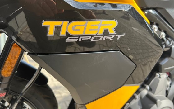 Gebrauchtmotorrad Triumph Tiger Sport 800 - Bild 12