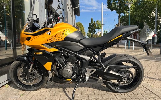 Gebrauchtmotorrad Triumph Tiger Sport 800 - Bild 2