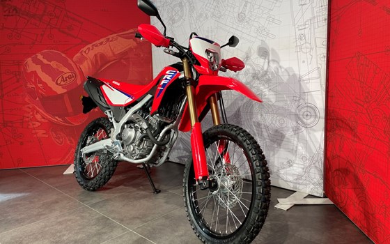 Neufahrzeug Honda CRF300L - Bild 2